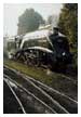 60009 'Union of South Africa' gleaming in the early morning sun at Bridgnorth 21st September 2001