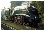 60009 'Union of South Africa' gleaming in the early morning sun at Bridgnorth 21st September 2001