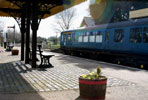 Sunny afternoon at County School
